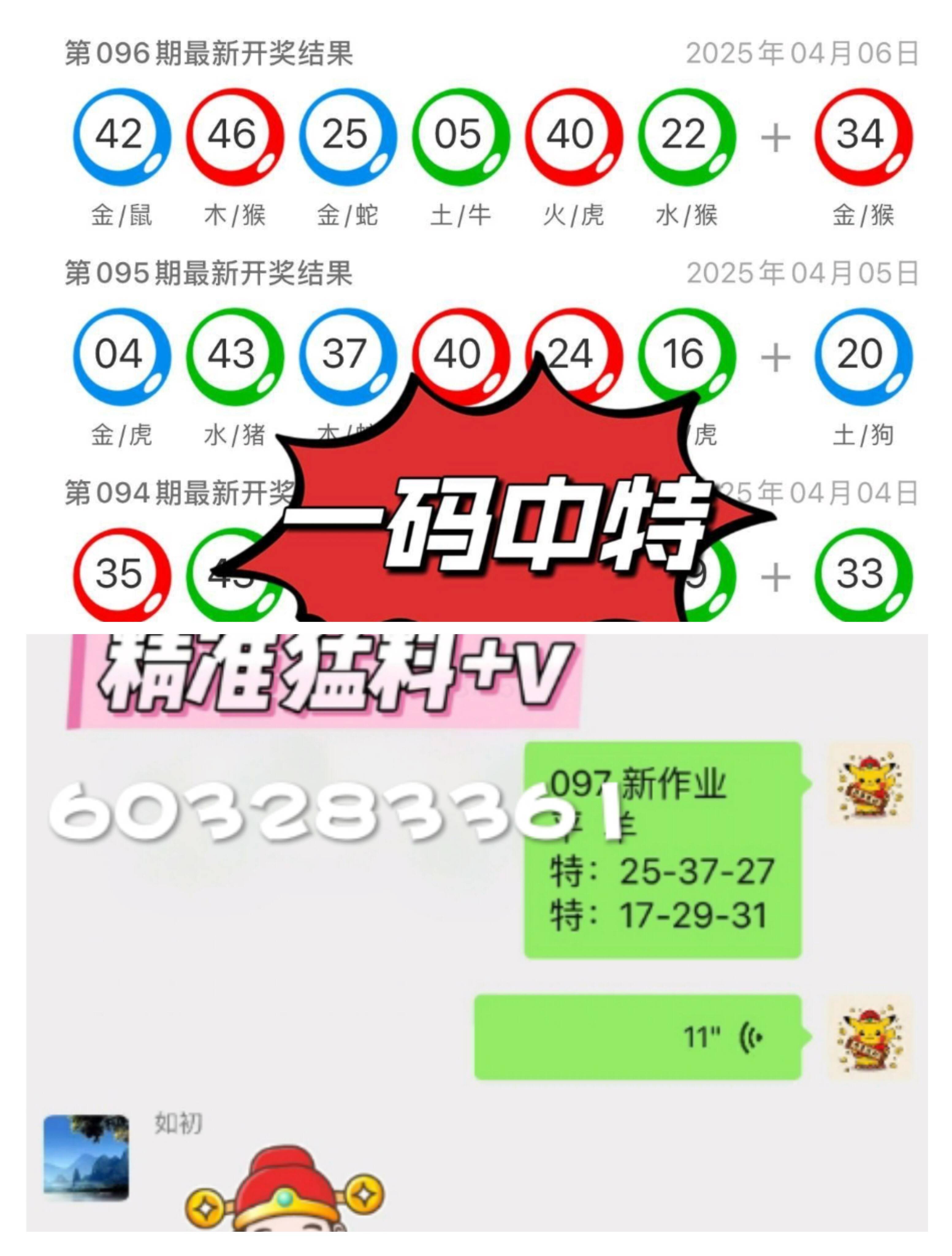 探索未來，2025新澳門九肖展望，2025新澳門九肖展望，探索未來之路