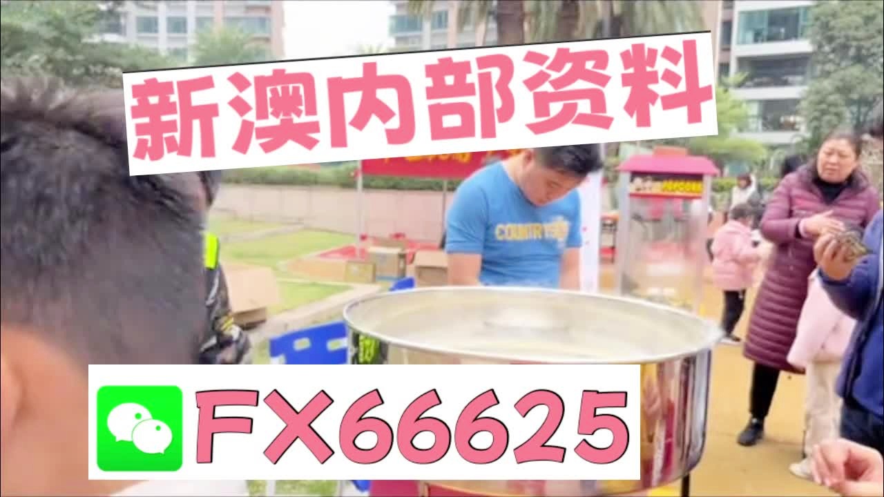 新奧2025正版資料大全，全面解析與深度探索，新奧2025正版資料大全，全面解析與深度探索揭秘