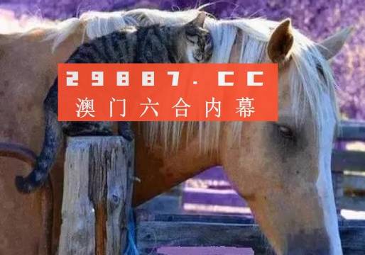澳門一肖一碼一待一中四不像，探索與解析，澳門一肖一碼一待一中四不像，深度解析與探索