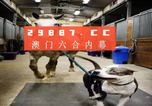 澳門一肖一碼一必中一肖，同舟前進的奧秘與策略，澳門一肖一碼必中策略與前進奧秘，同舟共濟的揭秘與策略