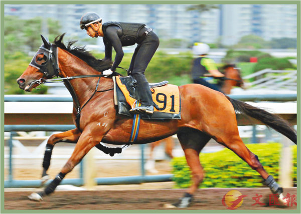 香港賽馬，探索數(shù)字背后的激情與榮耀，香港賽馬，數(shù)字背后的激情與榮耀之旅