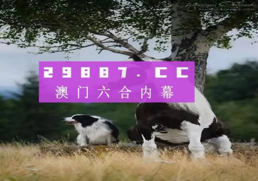 澳門天天空彩官網(wǎng)資料，探索彩票世界的門戶，澳門天天空彩官網(wǎng)資料，彩票世界探索門戶