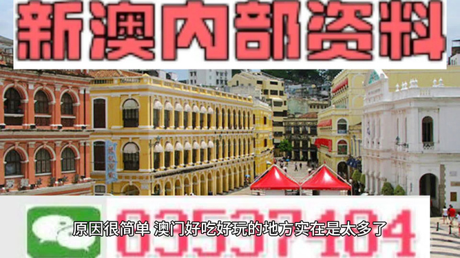 澳門精準(zhǔn)資料大全免費，探索與解析，澳門精準(zhǔn)資料大全免費解析探索