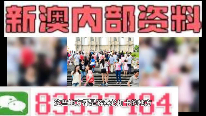 新澳天天開獎資料大全旅游團——探索澳門的魅力之旅，澳門魅力探索之旅，新澳天天開獎資料大全旅游團
