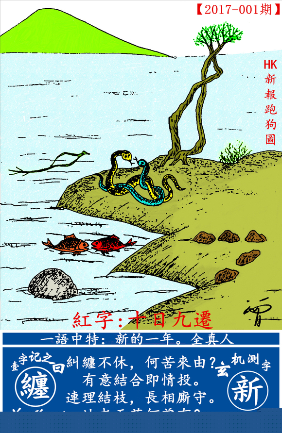 探索全新版跑狗圖，7777788888的魅力與策略，探索全新版跑狗圖，7777788888的魅力與攻略解析