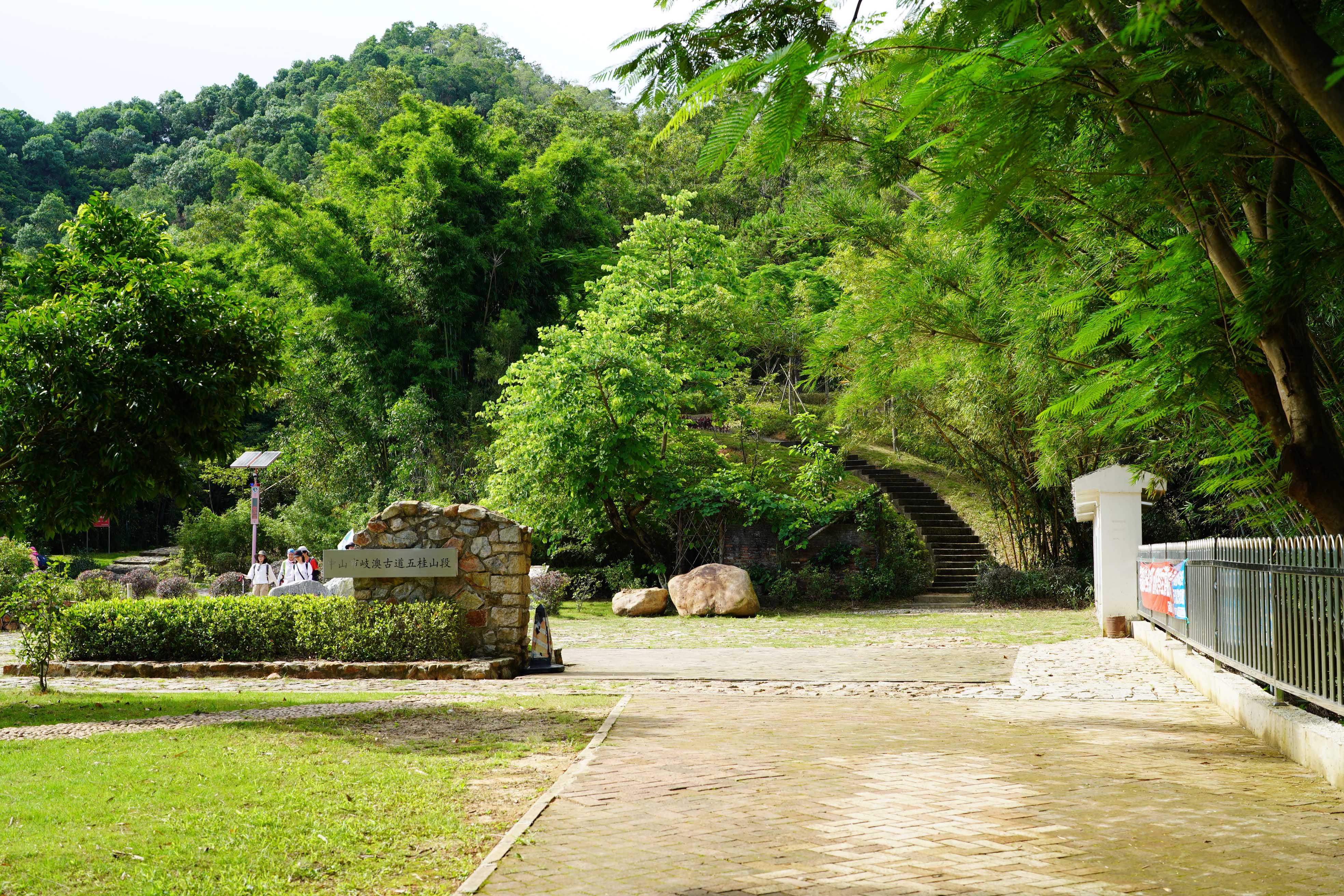 新澳門(mén)彩生肖走勢(shì)圖，探索與解讀彩票背后的秘密，探索解讀新澳門(mén)彩生肖走勢(shì)圖，彩票背后的秘密揭秘