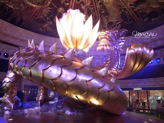 澳門無(wú)錯(cuò)七尾，探索與解析，澳門無(wú)錯(cuò)七尾，深度探索與解析