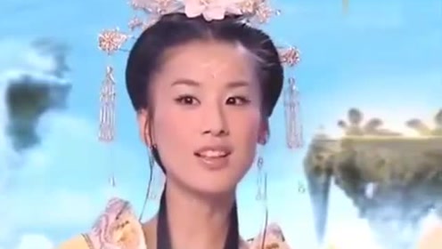 曾道道人資料免費(fèi)大全，深度探索與解析，曾道道人資料深度解析與免費(fèi)大全探索