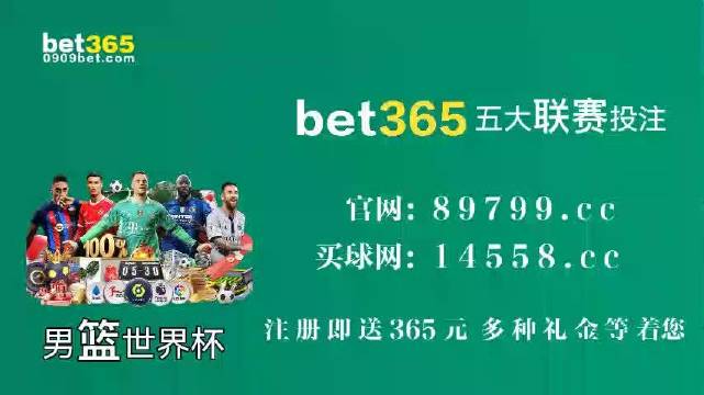 王中王中特馬王中王精準(zhǔn)資料解析與SEO優(yōu)化策略探討，王中王中特馬精準(zhǔn)資料解析與SEO策略探討