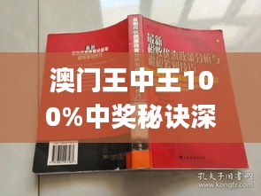 新澳門王中王期期中，探索與解析，新澳門王中王期期中，深度探索與解析