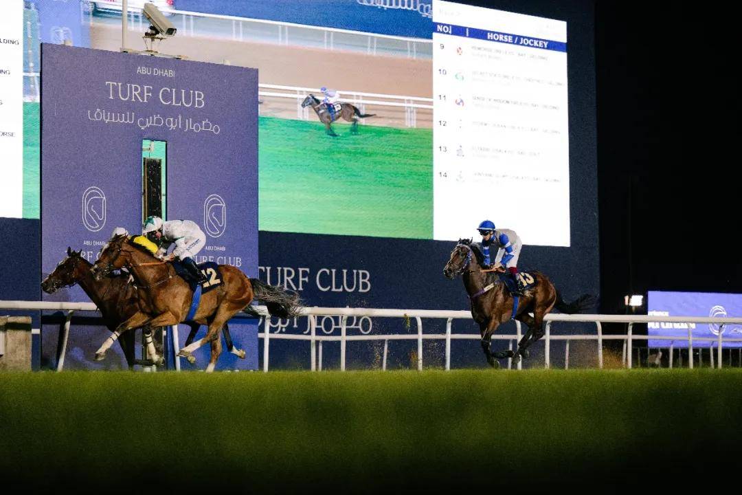澳門特馬今晚開獎一，探索彩票背后的秘密與期待，澳門特馬今晚開獎，揭秘彩票背后的秘密與期待大獎的激動心情