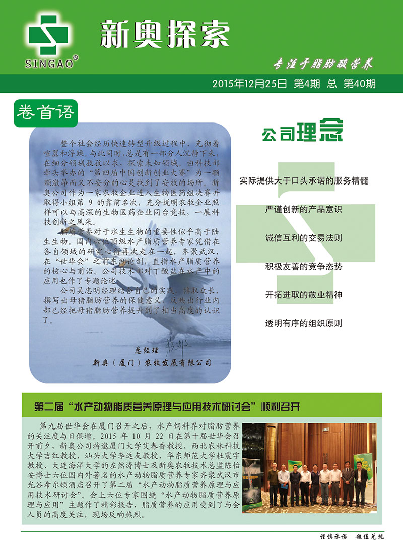 2025新澳正版資料查詢指南，2025新澳正版資料查詢手冊