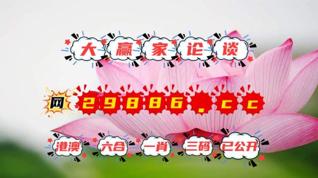 揭秘4887王中王精準資料，全方位解讀，洞悉其獨特魅力，揭秘，全方位解讀王中王精準資料，洞悉其獨特魅力
