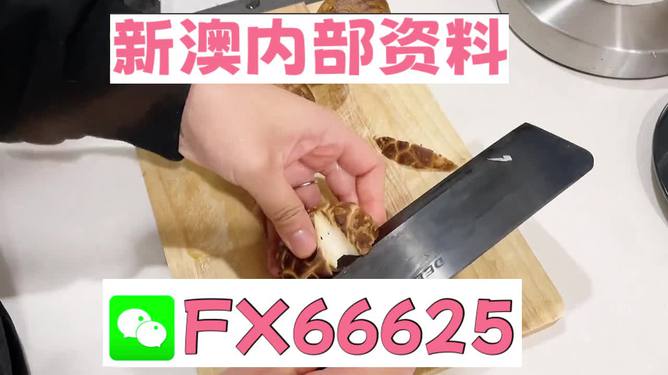 澳門九點(diǎn)半9點(diǎn)半網(wǎng)站——探索其魅力與優(yōu)勢(shì)，澳門九點(diǎn)半網(wǎng)站，魅力與優(yōu)勢(shì)探索