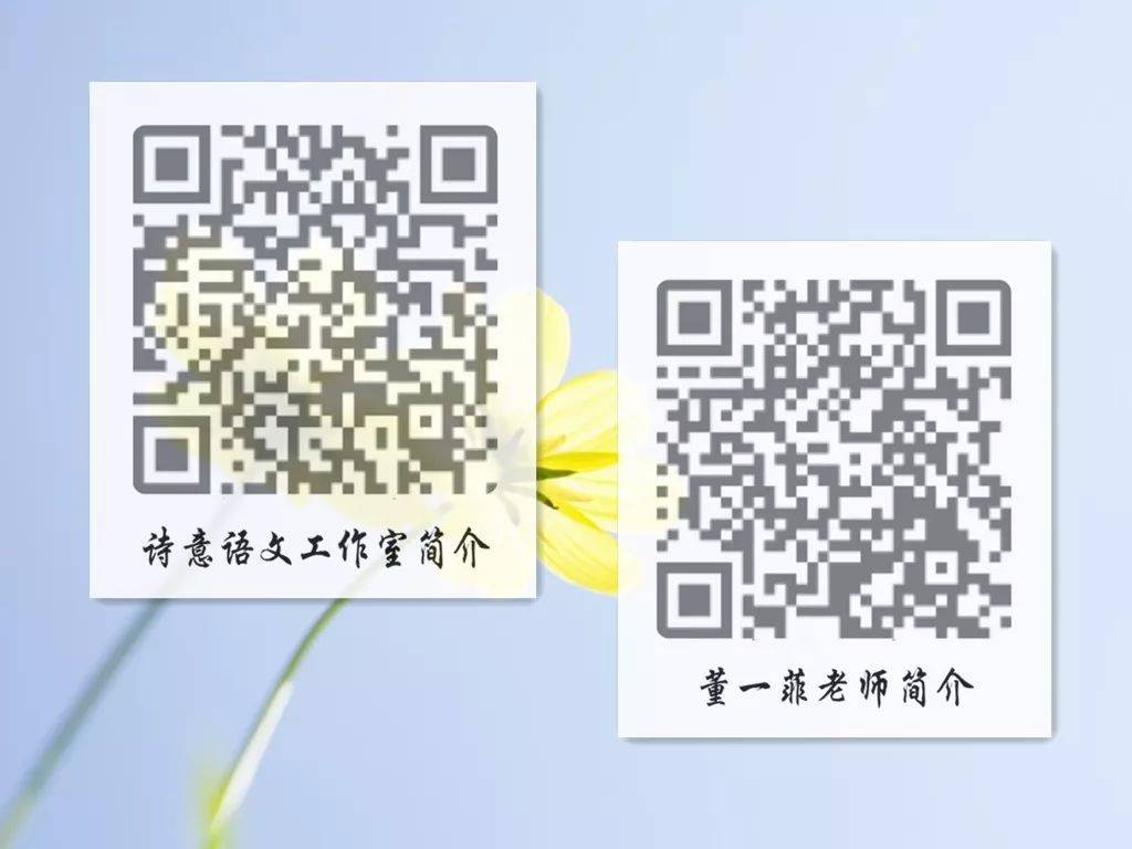 一碼一肖一特一，揭秘背后的秘密與獨特之處，揭秘一碼一肖一特一的獨特之處與背后秘密
