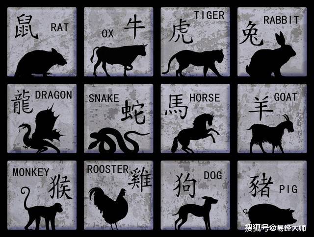 新澳特碼，羊?；⒏鲾?shù)10的獨(dú)特魅力與解析，新澳特碼，羊牛虎各數(shù)10的獨(dú)特魅力深度解析