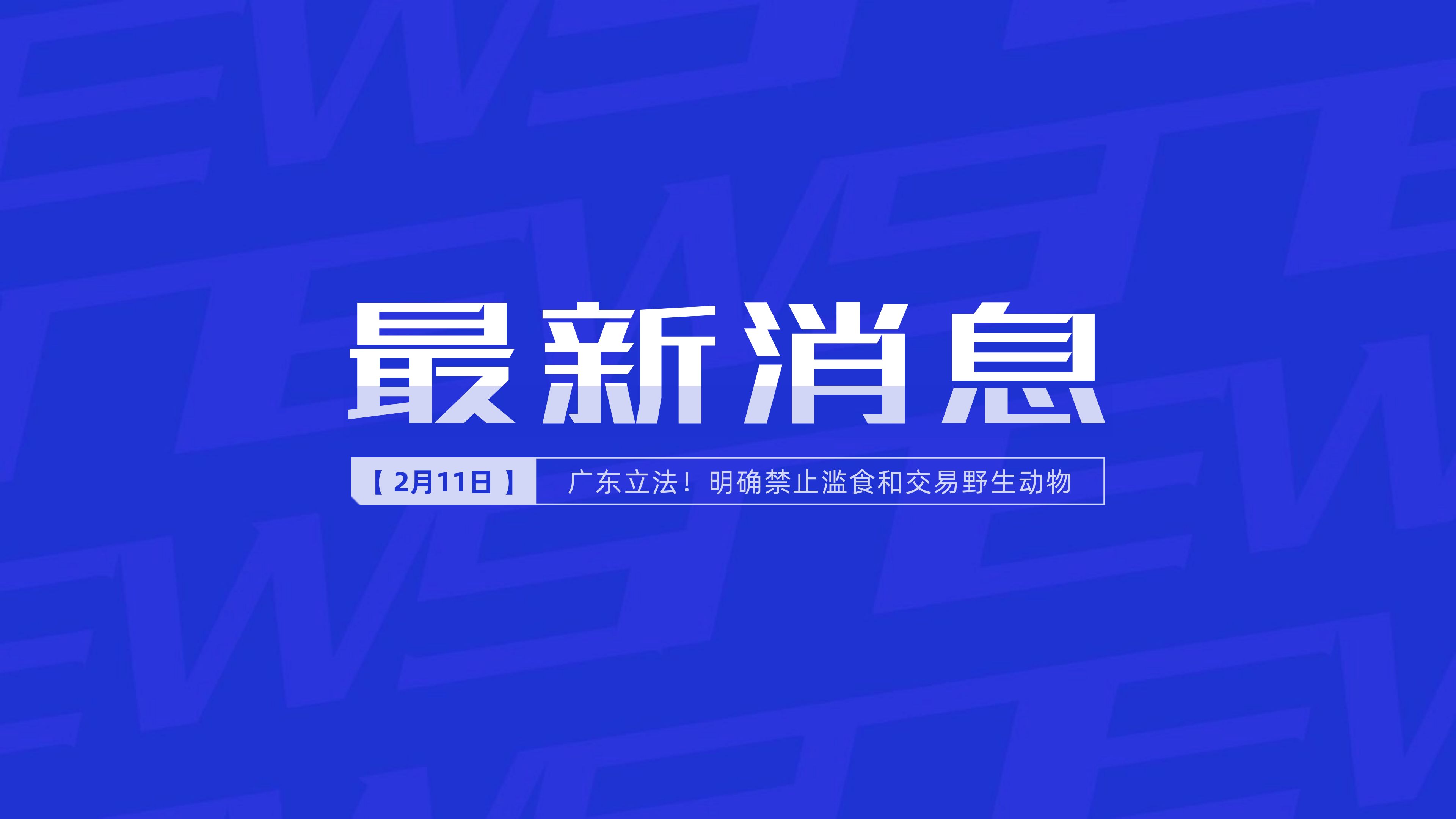 新聞最新新聞，掌握時事熱點，洞悉世界動態(tài)，時事熱點速遞，掌握全球最新動態(tài)新聞