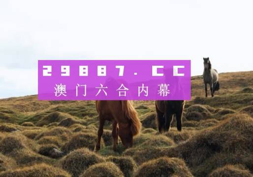 今晚新澳門開獎結(jié)果查詢9，全面解析與實用指南，澳門今晚開獎結(jié)果查詢9，全面解析與實用指南