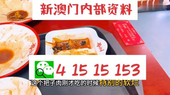 澳門王中王六碼新澳門，探索與解析，澳門王中王六碼新澳門，深度探索與解析
