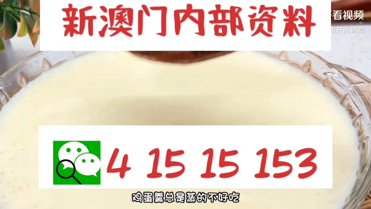 新澳門中特網(wǎng)中特馬，探索與解析，澳門中特馬探索與解析指南