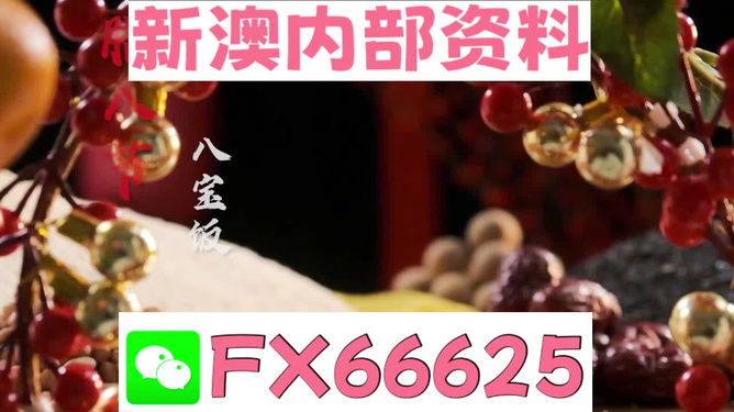 2024澳門正版精準免費資料大揭秘，澳門正版精準免費資料大揭秘，揭秘未來預測與秘密情報