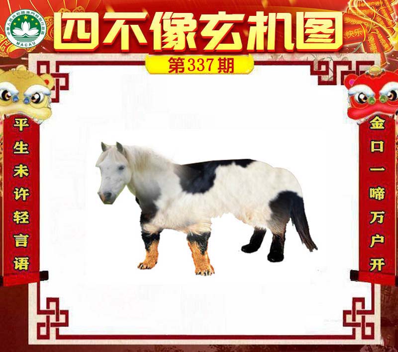 王中王四不像肖一肖中特，探索神秘現(xiàn)象背后的真相，神秘現(xiàn)象背后的真相探索，王中王四不像肖一肖中特揭秘