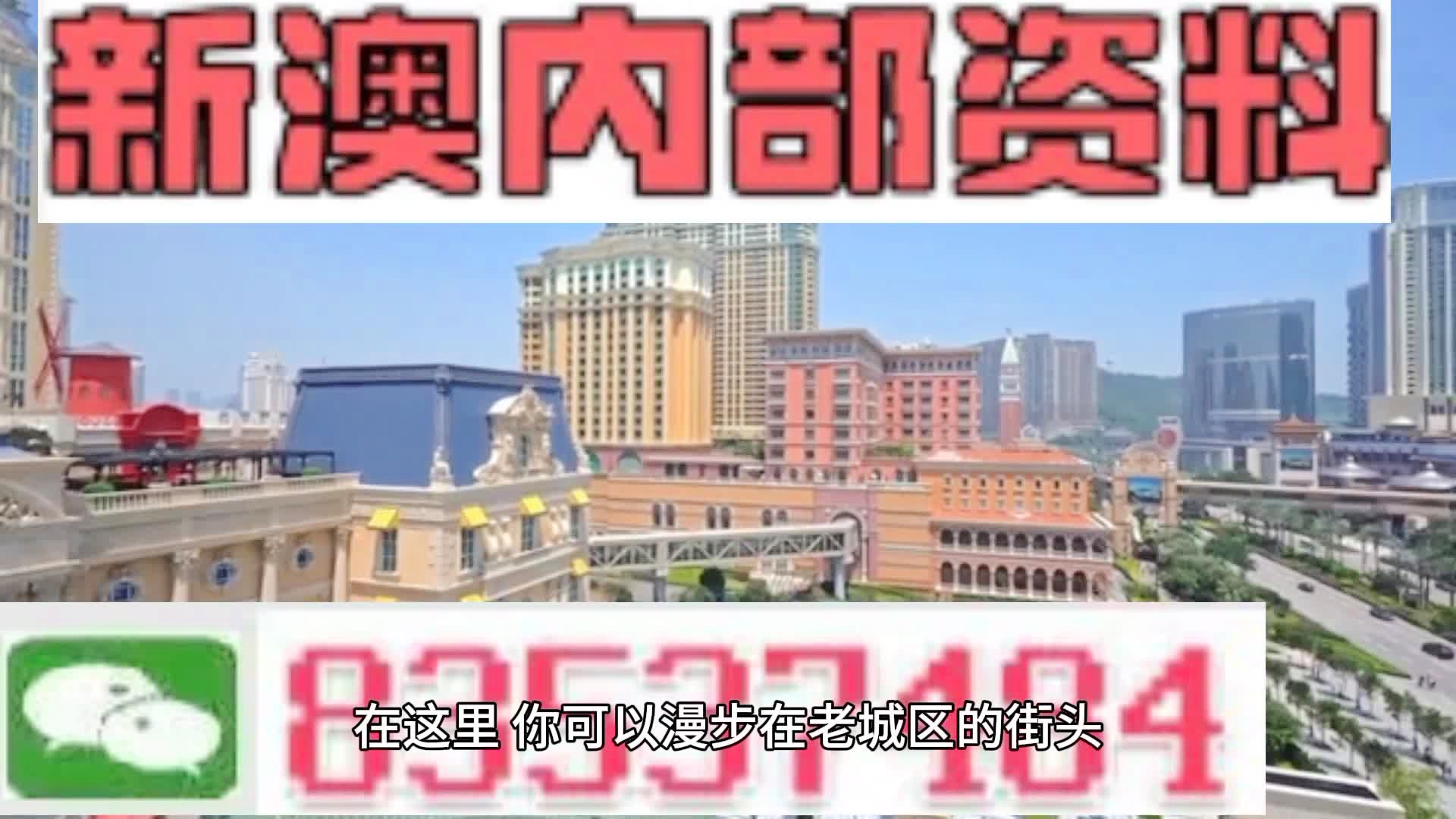新澳門期期準(zhǔn)精準(zhǔn)，探索澳門的未來(lái)與SEO策略，澳門未來(lái)展望與SEO策略探索，精準(zhǔn)瞄準(zhǔn)新機(jī)遇