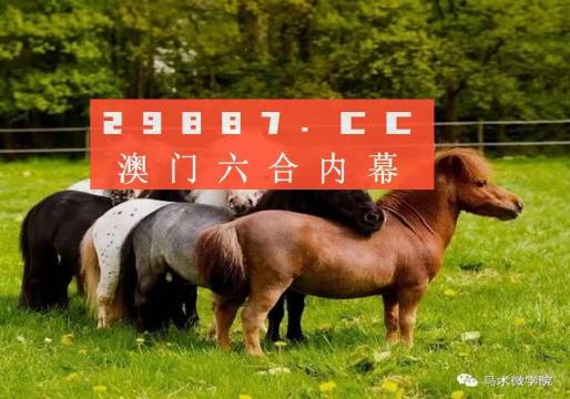 王中王四不像正版一肖中特圖，揭秘背后的秘密與獨特魅力，揭秘王中王四不像正版一肖中特圖的獨特魅力和背后秘密