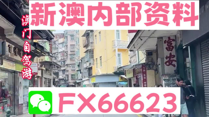 新澳精準(zhǔn)資料免費(fèi)提供，探索與解析，新澳精準(zhǔn)資料解析與探索，免費(fèi)提供的深度解讀