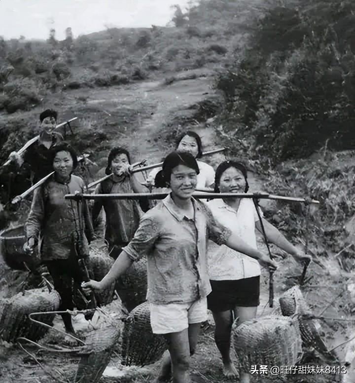 關(guān)于49圖庫圖片資料的專業(yè)解析與探索，49圖庫圖片資料深度解析與探索