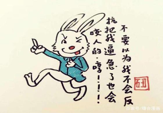 一肖不中賠多少倍，深度解析與策略建議，一肖不中賠倍深度解析及策略建議