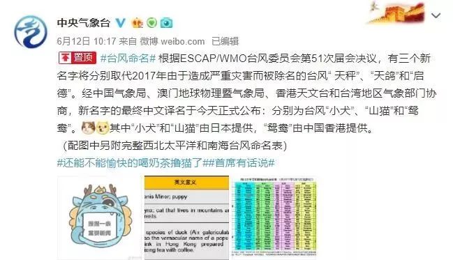 新澳門必中三肖三碼三期必開劉伯，揭秘彩票背后的秘密與策略，揭秘彩票背后的秘密與策略，劉伯的新澳門三期必開三肖三碼預(yù)測技巧