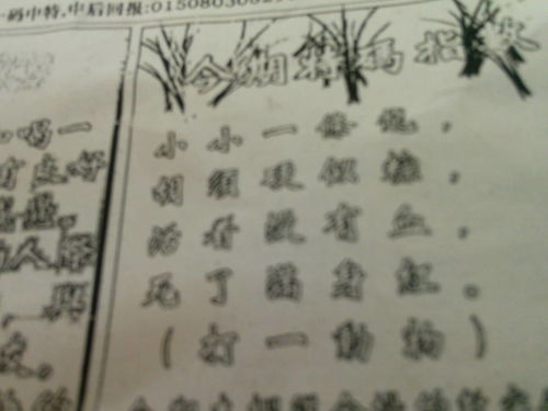 劉伯溫特一肖王中王，傳奇人物與生肖之王的神秘結(jié)合，劉伯溫生肖傳奇，傳奇人物與生肖之王的神秘交融