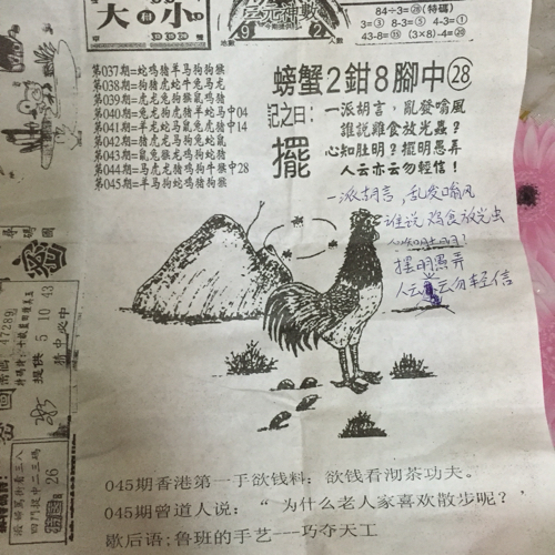 揭秘林中的高手王中王猜一肖的奧秘，揭秘林中之王王中王與生肖奧秘探秘