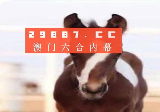 澳門必開一肖二碼，揭秘背后的秘密與策略分析，澳門必開一肖二碼揭秘與策略深度剖析