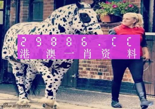 香港網(wǎng)址王中王一肖中特，探索與解析，香港網(wǎng)址王中王一肖中特，深度探索與解析