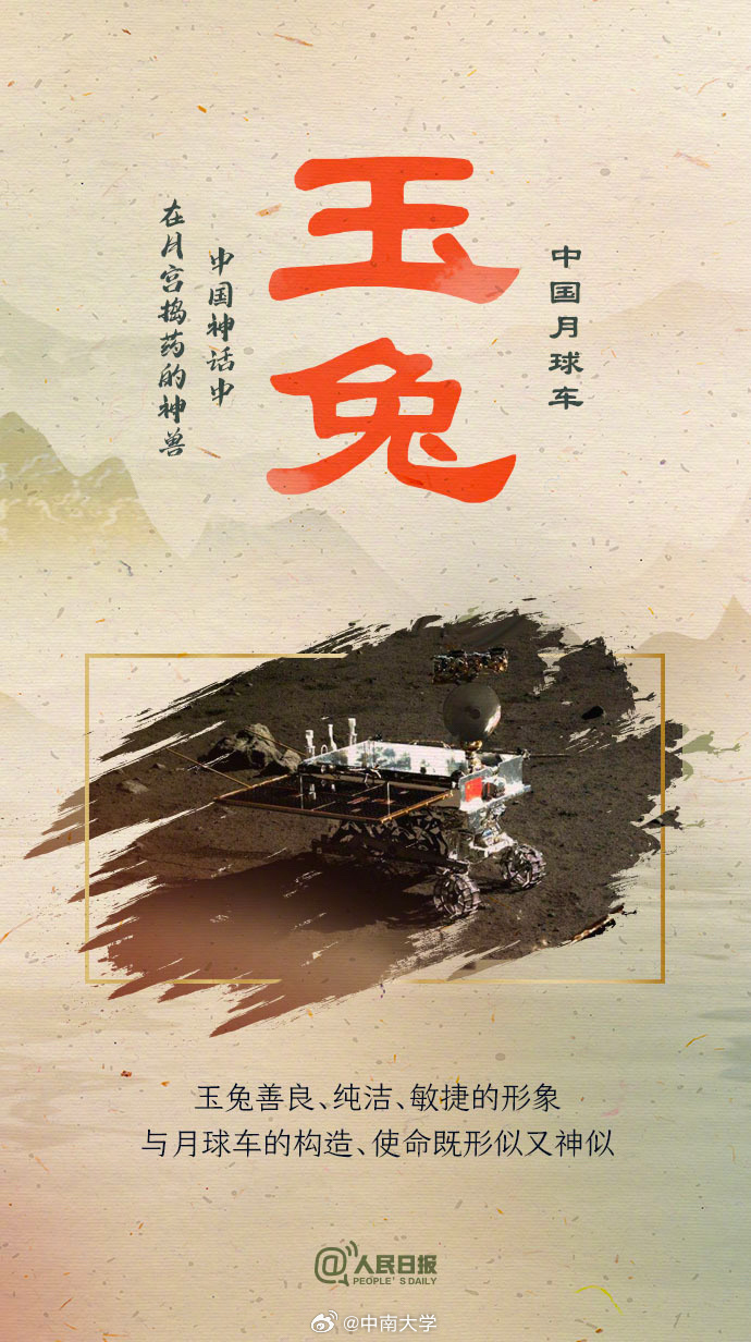 揭秘王中王平特一肖免會(huì)公開的奧秘，王中王平特一肖免公開揭秘奧秘