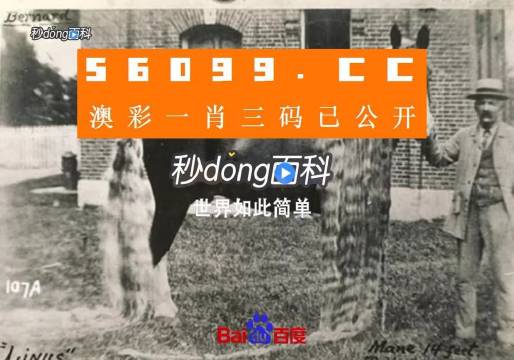 澳門王中王心水王中王，探索與解析，澳門王中王心水奧秘，深度探索與解析