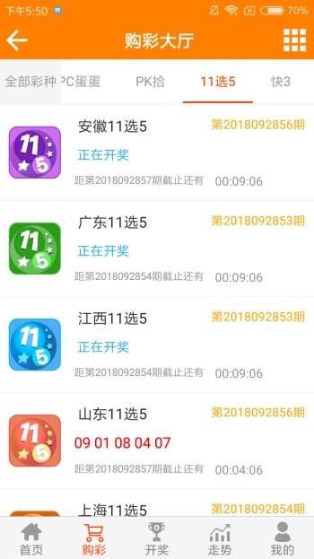 王中王黃金一肖二碼資料，深度解析與SEO優(yōu)化，王中王黃金一肖二碼資料深度解析與SEO優(yōu)化技巧