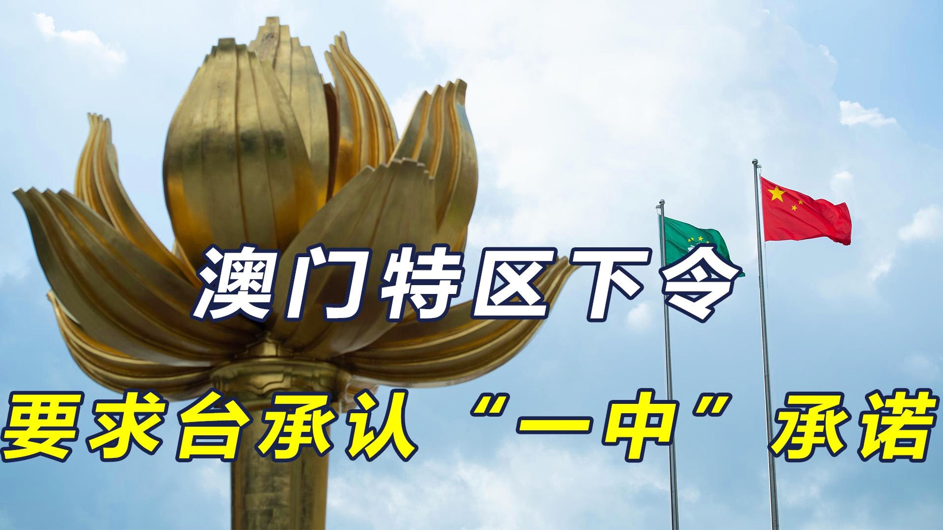 新澳門一碼一肖一特一中準(zhǔn)選今晚之秘與博彩文化深度解析，澳門博彩文化深度解析，今晚一碼一肖一特一中準(zhǔn)選的秘密