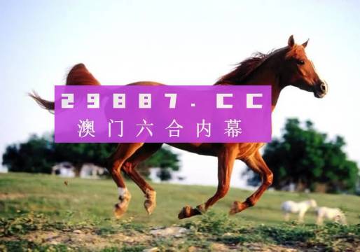 澳門一肖一碼必開一直播，揭秘與探索，澳門一肖一碼直播揭秘與探索之旅