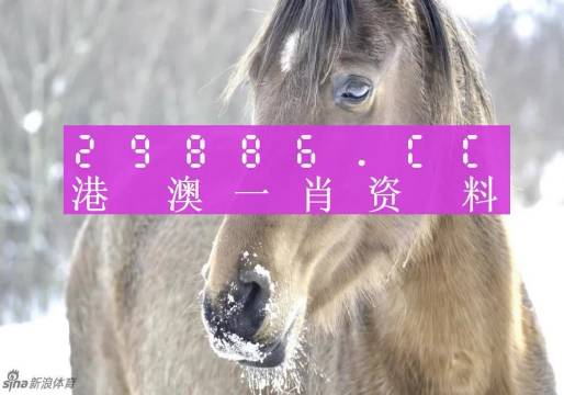 澳門(mén)一肖一碼背后的故事，一個(gè)關(guān)于精準(zhǔn)預(yù)測(cè)與傳奇的揭秘，澳門(mén)一肖一碼傳奇背后的精準(zhǔn)預(yù)測(cè)與揭秘之旅