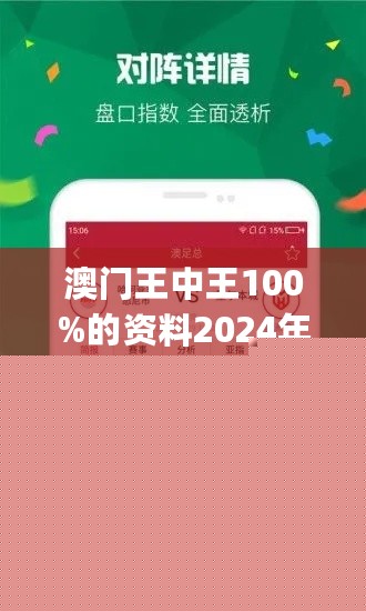 王中王網(wǎng)站一肖，探索與SEO優(yōu)化策略，王中王網(wǎng)站一肖，深度探索與SEO優(yōu)化策略實(shí)踐