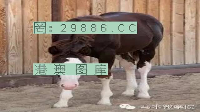 揭秘446999一肖中特馬之秘密，掌握中獎玄機！，揭秘特馬中獎玄機，446999一肖中的秘密大揭秘！