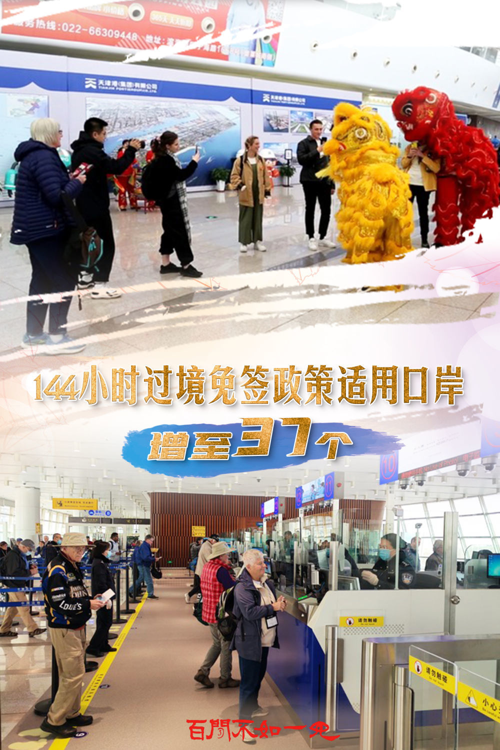揭秘王中王，一碼一肖一特一中背后的故事，揭秘王中王背后的故事，一碼一肖一特一中傳奇揭秘