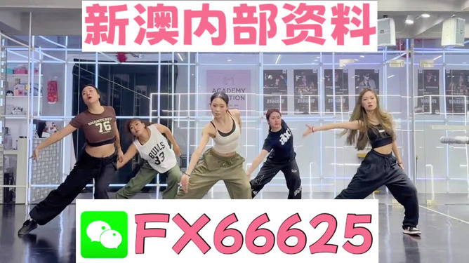 王中王內(nèi)部透肖一肖二碼，深度解析與探索，王中王內(nèi)部透肖一肖二碼深度解析與探索揭秘