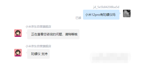 王中王一肖碼，探索關鍵詞背后的奧秘，王中王一肖碼，揭秘關鍵詞背后的奧秘