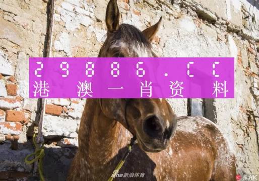 王中王資料一門肖中，深度解析與探索，王中王資料一門肖詳解，深度解析與探索
