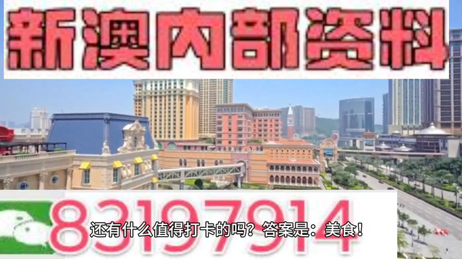 澳門免費(fèi)精準(zhǔn)資料，探索204年的秘密與機(jī)遇，澳門204年秘密與機(jī)遇探索，免費(fèi)精準(zhǔn)資料揭秘