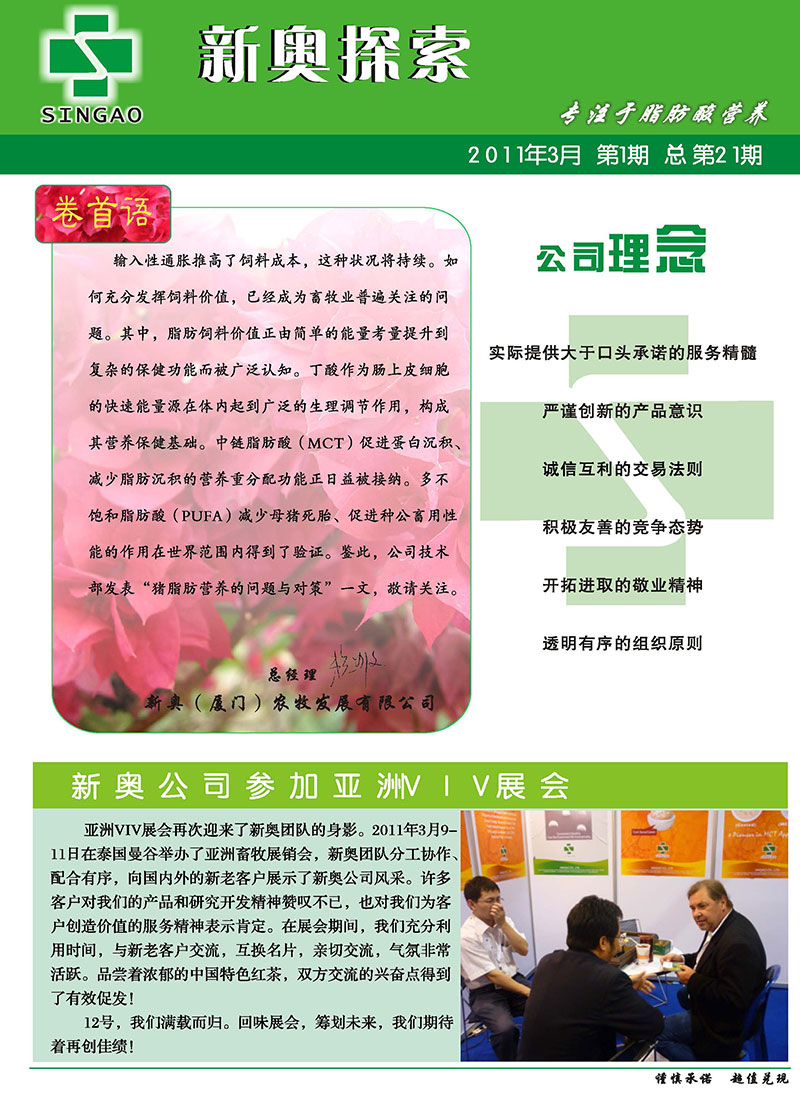 2025新澳正版資料精準(zhǔn)解析，2025新澳正版資料精準(zhǔn)解析手冊(cè)